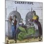 Cherry-Ripe, Cries of London, C1840-TH Jones-Mounted Giclee Print