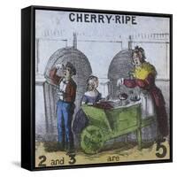 Cherry-Ripe, Cries of London, C1840-TH Jones-Framed Stretched Canvas