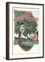 Cherry Time, Boy in Tree-Found Image Press-Framed Giclee Print