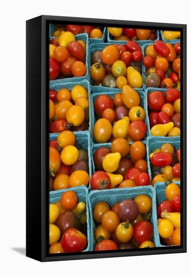 Cherry Tomatoes at a Farmer's Market in Savannah, Georgia, USA-Joanne Wells-Framed Stretched Canvas