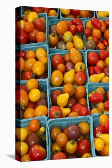 Cherry Tomatoes at a Farmer's Market in Savannah, Georgia, USA-Joanne Wells-Stretched Canvas