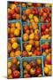 Cherry Tomatoes at a Farmer's Market in Savannah, Georgia, USA-Joanne Wells-Mounted Photographic Print
