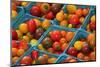 Cherry Tomatoes at a Farmer's Market in Savannah, Georgia, USA-Joanne Wells-Mounted Photographic Print