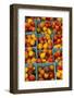 Cherry Tomatoes at a Farmer's Market in Savannah, Georgia, USA-Joanne Wells-Framed Photographic Print