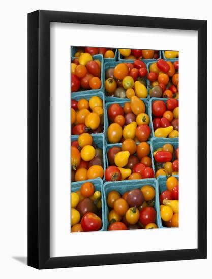 Cherry Tomatoes at a Farmer's Market in Savannah, Georgia, USA-Joanne Wells-Framed Photographic Print