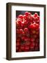 Cherry Tomatoes for Sale in Market in Alberobello, Puglia, Italy, Europe-Martin-Framed Photographic Print