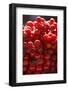 Cherry Tomatoes for Sale in Market in Alberobello, Puglia, Italy, Europe-Martin-Framed Photographic Print