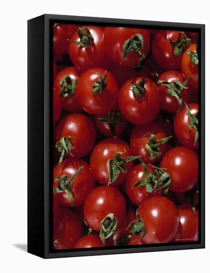 Cherry Tomatoes-Mark Gibson-Framed Stretched Canvas