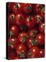 Cherry Tomatoes-Mark Gibson-Stretched Canvas