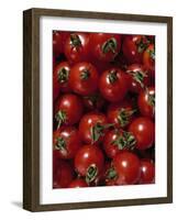 Cherry Tomatoes-Mark Gibson-Framed Photographic Print