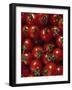 Cherry Tomatoes-Mark Gibson-Framed Photographic Print