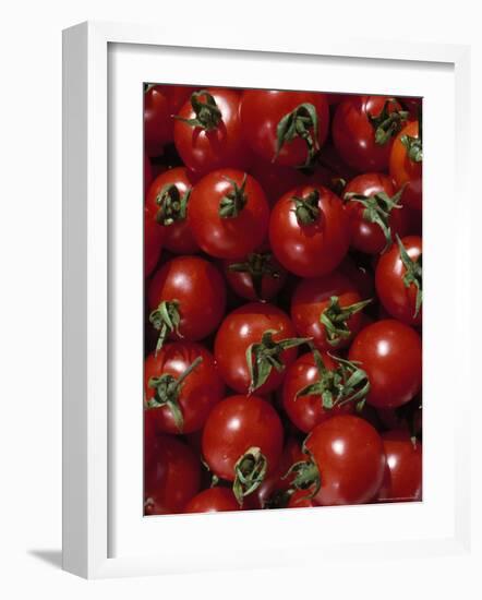 Cherry Tomatoes-Mark Gibson-Framed Photographic Print