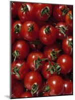 Cherry Tomatoes-Mark Gibson-Mounted Photographic Print