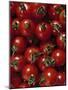 Cherry Tomatoes-Mark Gibson-Mounted Photographic Print