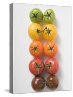 Cherry Tomatoes-null-Stretched Canvas