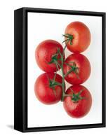 Cherry Tomatoes-Mark Sykes-Framed Stretched Canvas