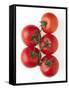 Cherry Tomatoes-Mark Sykes-Framed Stretched Canvas