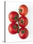 Cherry Tomatoes-Mark Sykes-Stretched Canvas