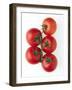 Cherry Tomatoes-Mark Sykes-Framed Photographic Print