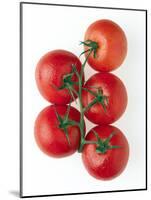 Cherry Tomatoes-Mark Sykes-Mounted Photographic Print
