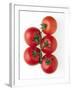 Cherry Tomatoes-Mark Sykes-Framed Photographic Print