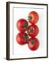 Cherry Tomatoes-Mark Sykes-Framed Photographic Print