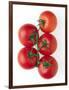 Cherry Tomatoes-Mark Sykes-Framed Photographic Print