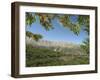 Cherry Tree, Bcharre, Qadisha Valley, Unesco World Heritage Site, North Lebanon, Middle East-Christian Kober-Framed Photographic Print