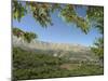 Cherry Tree, Bcharre, Qadisha Valley, Unesco World Heritage Site, North Lebanon, Middle East-Christian Kober-Mounted Photographic Print