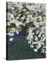 Cherry tree blooming over Muscari armeniacum-Clive Nichols-Stretched Canvas