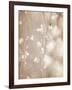 Cherry Tree Blossom, Abstract Soft Color Floral Background-Anna Omelchenko-Framed Art Print