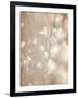 Cherry Tree Blossom, Abstract Soft Color Floral Background-Anna Omelchenko-Framed Art Print