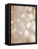 Cherry Tree Blossom, Abstract Soft Color Floral Background-Anna Omelchenko-Framed Stretched Canvas