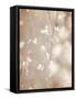 Cherry Tree Blossom, Abstract Soft Color Floral Background-Anna Omelchenko-Framed Stretched Canvas