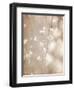 Cherry Tree Blossom, Abstract Soft Color Floral Background-Anna Omelchenko-Framed Art Print