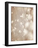 Cherry Tree Blossom, Abstract Soft Color Floral Background-Anna Omelchenko-Framed Art Print