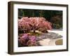 Cherry Tree Blossoms Over Rock Garden in the Japanese Gardens, Washington Park, Portland, Oregon-Janis Miglavs-Framed Premium Photographic Print