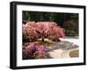 Cherry Tree Blossoms Over Rock Garden in the Japanese Gardens, Washington Park, Portland, Oregon-Janis Miglavs-Framed Premium Photographic Print