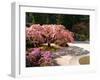 Cherry Tree Blossoms Over Rock Garden in the Japanese Gardens, Washington Park, Portland, Oregon-Janis Miglavs-Framed Premium Photographic Print