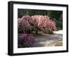 Cherry Tree Blossoms Over Rock Garden in the Japanese Gardens, Washington Park, Portland, Oregon-Janis Miglavs-Framed Premium Photographic Print