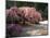 Cherry Tree Blossoms Over Rock Garden in the Japanese Gardens, Washington Park, Portland, Oregon-Janis Miglavs-Mounted Photographic Print