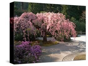 Cherry Tree Blossoms Over Rock Garden in the Japanese Gardens, Washington Park, Portland, Oregon-Janis Miglavs-Stretched Canvas