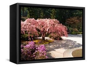 Cherry Tree Blossoms Over Rock Garden in the Japanese Gardens, Washington Park, Portland, Oregon-Janis Miglavs-Framed Stretched Canvas