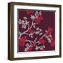 Cherry Tree Branch-Adeline Bec-Framed Art Print