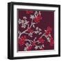 Cherry Tree Branch-Adeline Bec-Framed Art Print