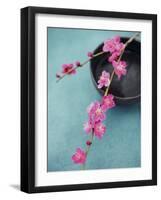 Cherry Tree Branch-Amelie Vuillon-Framed Art Print