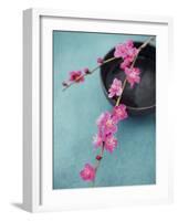 Cherry Tree Branch-Amelie Vuillon-Framed Art Print