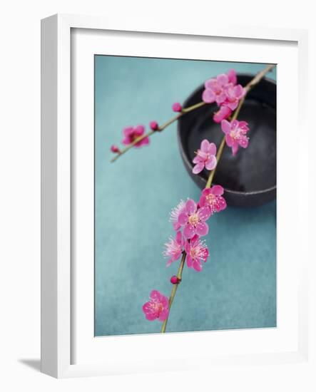 Cherry Tree Branch-Amelie Vuillon-Framed Art Print