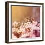 Cherry Tree Flowers Blooming in the Spring Toned with a Retro Vintage Instagram Filter-graphicphoto-Framed Photographic Print