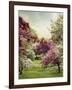 Cherry Tree Grove-Jessica Jenney-Framed Giclee Print